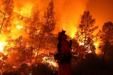 'Apocalyptic Threat': Dire Climate Report Raises Fears for California's Future
